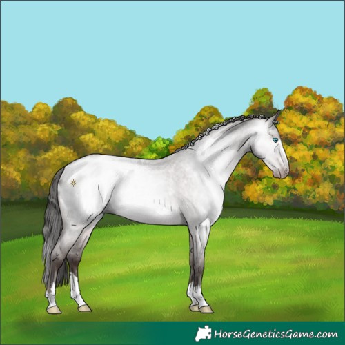 Horse Color:Gray Platinum Sable Champagne Roan Dun Blanket Brindle