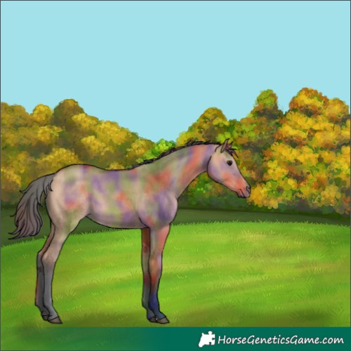 Horse Color:Nacre Bay Dun 
