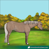 Horse Color:Silver Grullo