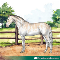 Horse Color:Silver Amber Champagne Dun Sabino Splash Frame Rabicano