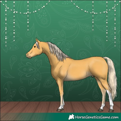 Horse Color:Palomino Tobiano 