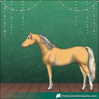 Horse Color:Palomino Tobiano