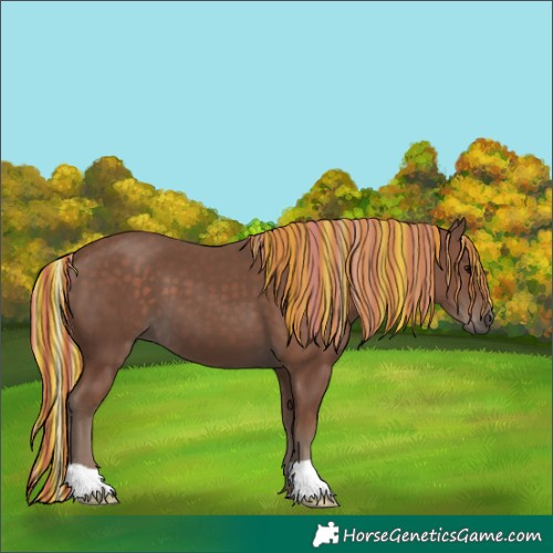 Horse Color:Painted Silver Black