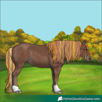 Horse Color:Painted Silver Black