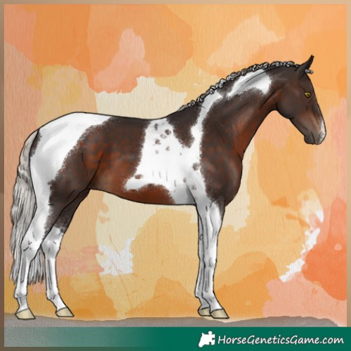 Horse Color:Silver Brown Tobiano 