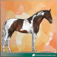 Horse Color:Silver Brown Tobiano 