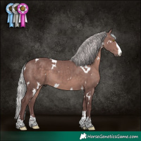 Horse Color:Platinum White Spotted Chocolate Silver Brown 