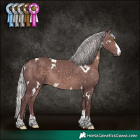 Horse Color:Platinum White Spotted Chocolate Silver Brown 