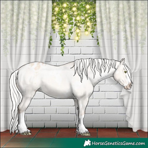 Horse Color:White Spotted Silver Sable Champagne Dun Splash Appaloosa 