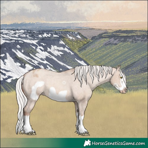 Horse Color:Silver Sable Champagne Dun Sabino Splash Frame Appaloosa 