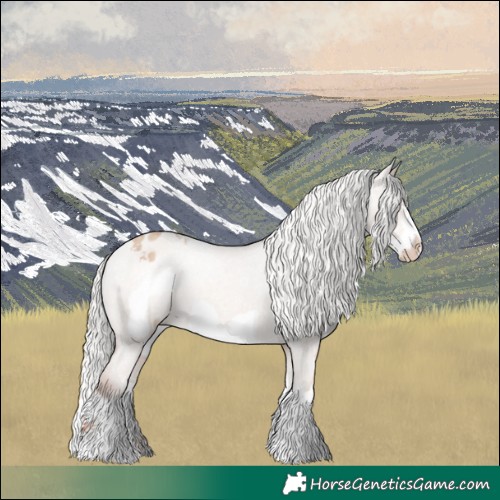 Horse Color:Silver Sable Champagne Dun Sabino Splash Frame Varnish 