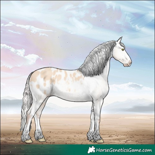 Horse Color:Silver Sable Champagne Dun Splash Blanket Rabicano 
