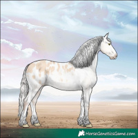 Horse Color:Silver Sable Champagne Dun Splash Appaloosa Rabicano 