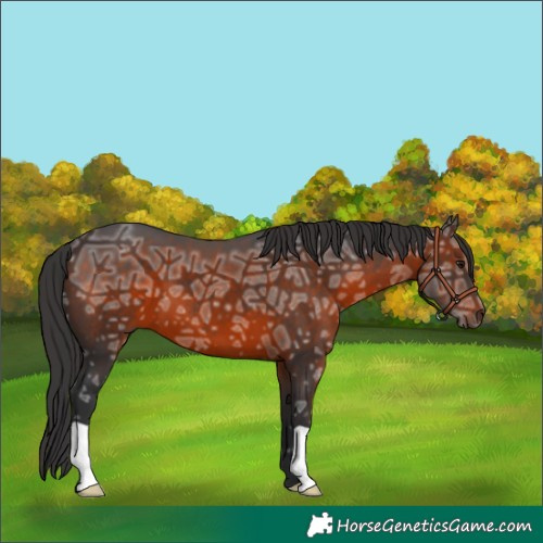 Horse Color:Brown Ice 