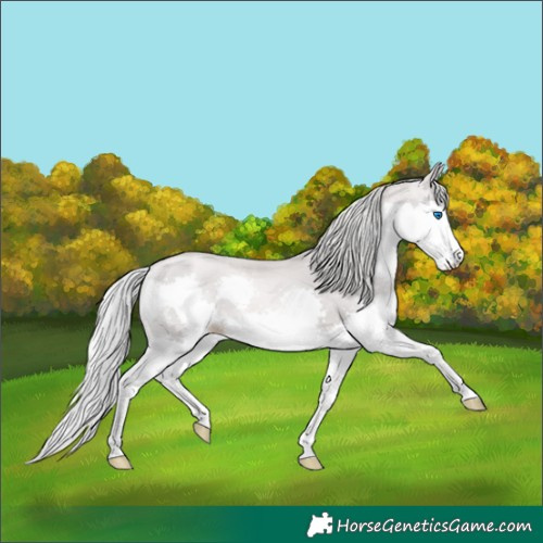 Horse Color:Platinum Chestnut Pearl Splash