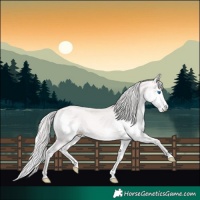 Horse Color:Platinum Chestnut Pearl Splash 