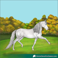 Horse Color:Platinum Chestnut Pearl Splash