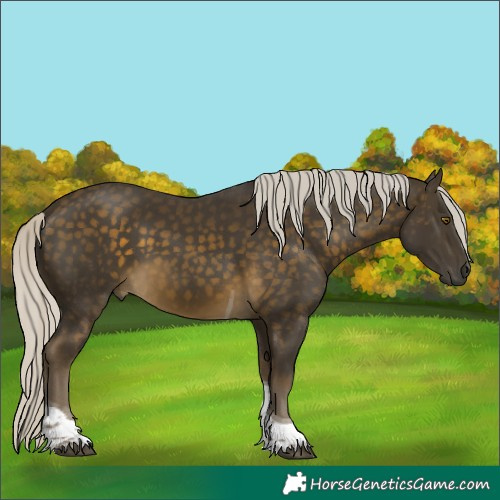 Horse Color:Silver Buckskin Tobiano