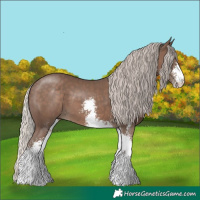 Horse Color:Silver Black Sabino 