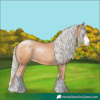 Horse Color:Silver Brown Pearl Sabino