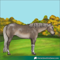 Horse Color:Gray Silver Grullo Tobiano 