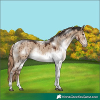 Horse Color:White Spotted Liver Red Dun Tobiano Frame Rabicano Brindle 