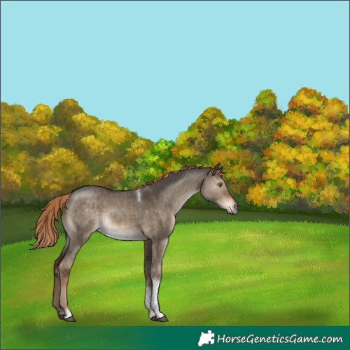 Horse Color:Liver Red Dun Tobiano Brindle