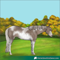 Horse Color:White Spotted Silver Black Tobiano Frame Rabicano 
