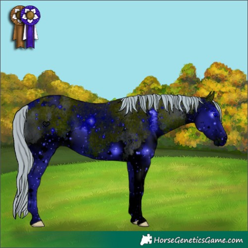 Horse Color:ERROR: UNKNOWN ANOMALY