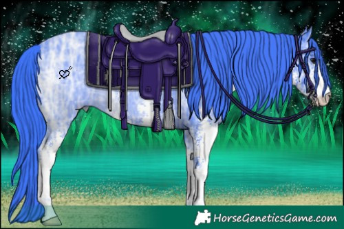 Horse Color:Watercolor Black Ice Sabino 