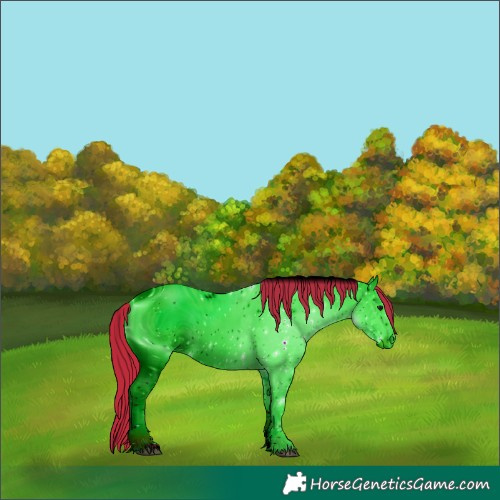 Horse Color:ERROR: UNKNOWN ANOMALY