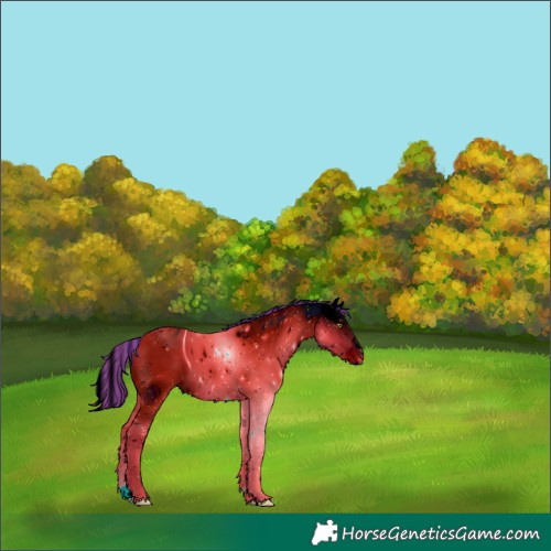 Horse Color:ERROR: UNKNOWN ANOMALY