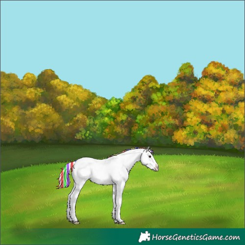 Horse Color:Painted Silver Smoky Grullo Ice Sabino Splash Rabicano 