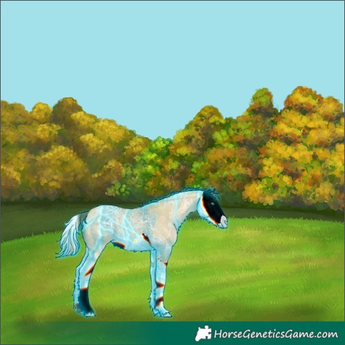 Horse Color:Thunderstruck Amber Cream Champagne Ice Dun Splash 