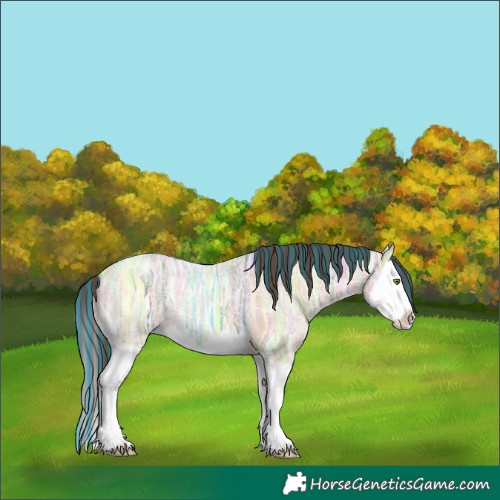 Horse Color:Painted Amber Champagne Ice Splash 