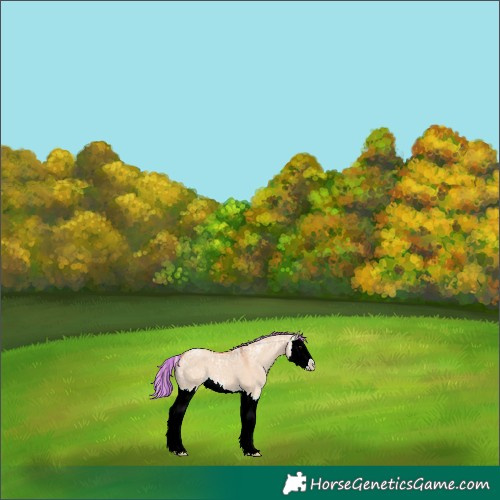 Horse Color:Painted Silver Bay Ice Dun Splash