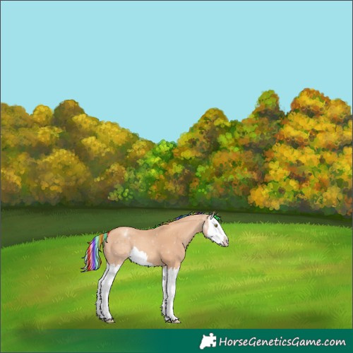 Horse Color:Painted Gold Champagne Splash