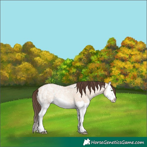 Horse Color:Amber Champagne Ice Dun Splash