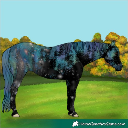 Horse Color:ERROR: UNKNOWN ANOMALY