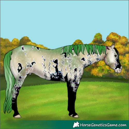 Horse Color:Watercolor White Spotted Brown Onyx 