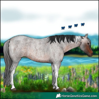 Horse Color:Brown Roan Tobiano 
