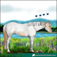 Horse Color:White Spotted Brown Pearl Dun Tobiano 