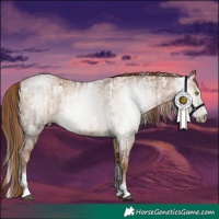 Horse Color:Gray White Spotted Brown Pearl Sabino Rabicano  and White Spotted Brown Pearl Dun Tobiano Rabicano 