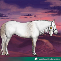 Horse Color:Gray White Spotted Brown Pearl Sabino Rabicano and White Spotted Brown Pearl Dun Tobiano Rabicano