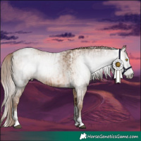 Horse Color:Gray White Spotted Brown Pearl Sabino Rabicano  and White Spotted Brown Pearl Dun Tobiano Rabicano 