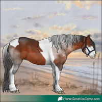 Horse Color:Bay Sabino Tobiano 