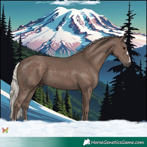 Horse Color:Silver Black 