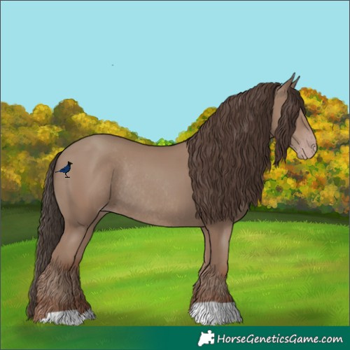 Horse Color:Classic Champagne Rabicano