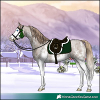 Horse Color:Liver Red Dun Roan Sabino Splash 