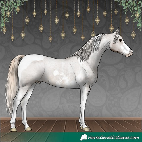 Horse Color:Chocolate Palomino Sabino Tobiano Varnish